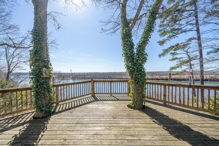 385 SALT LN