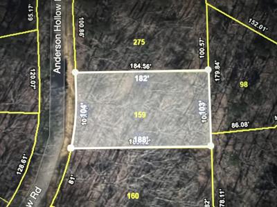 LOT 159 ANDERSON HOLLOW RD
