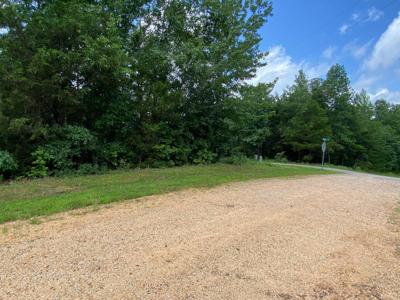 11 BALD EAGLE DR
