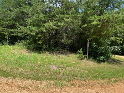 5 BALD EAGLE DR