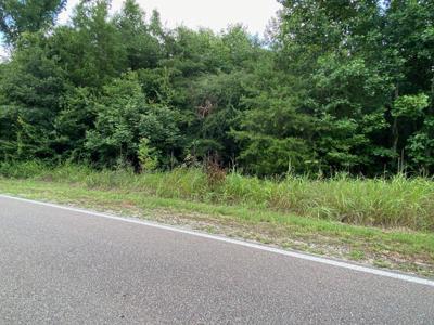 GENDALE & BALD EAGLE DR