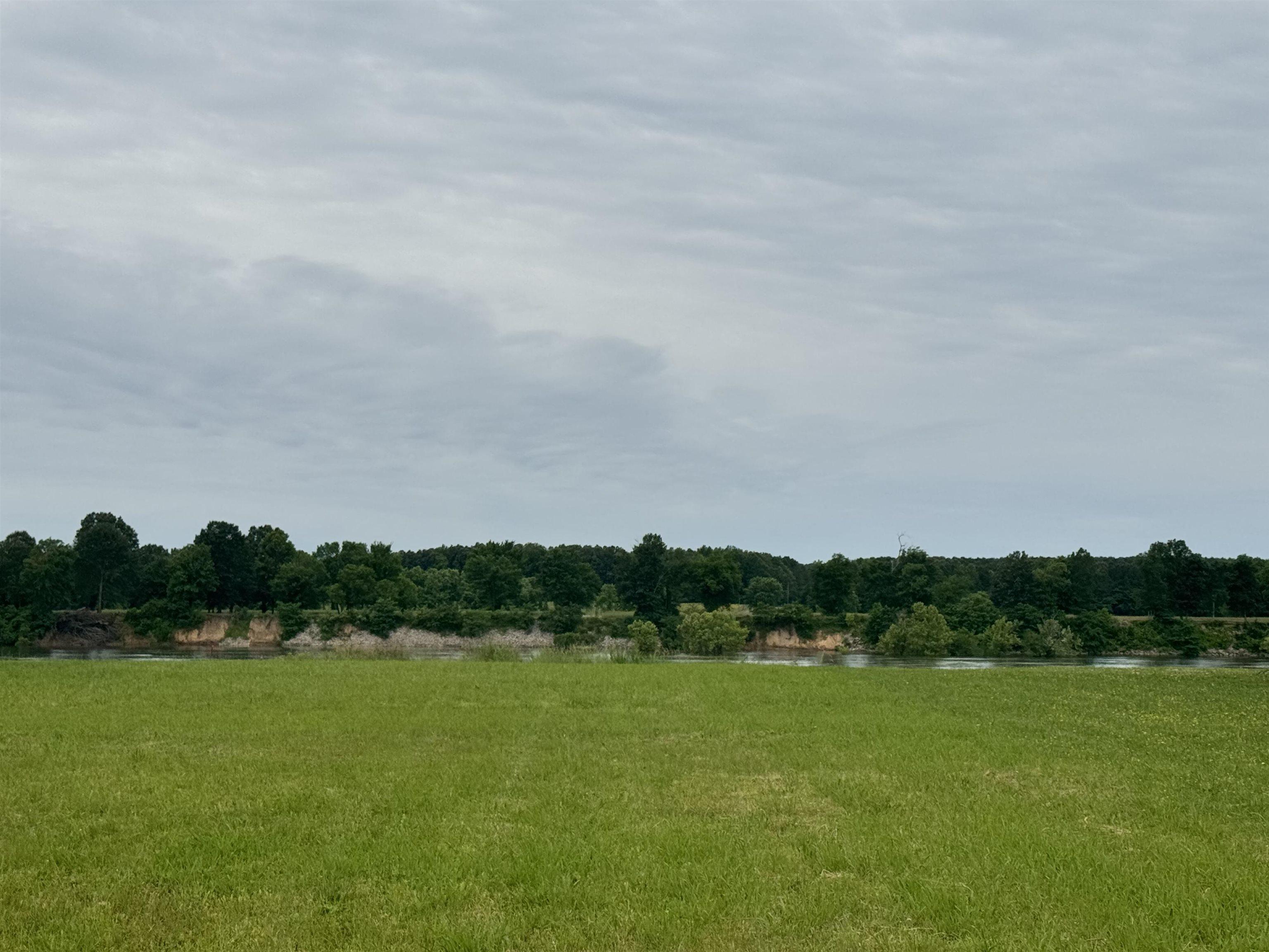 Image 1: View of grassy yard featuring a water view and a view of trees