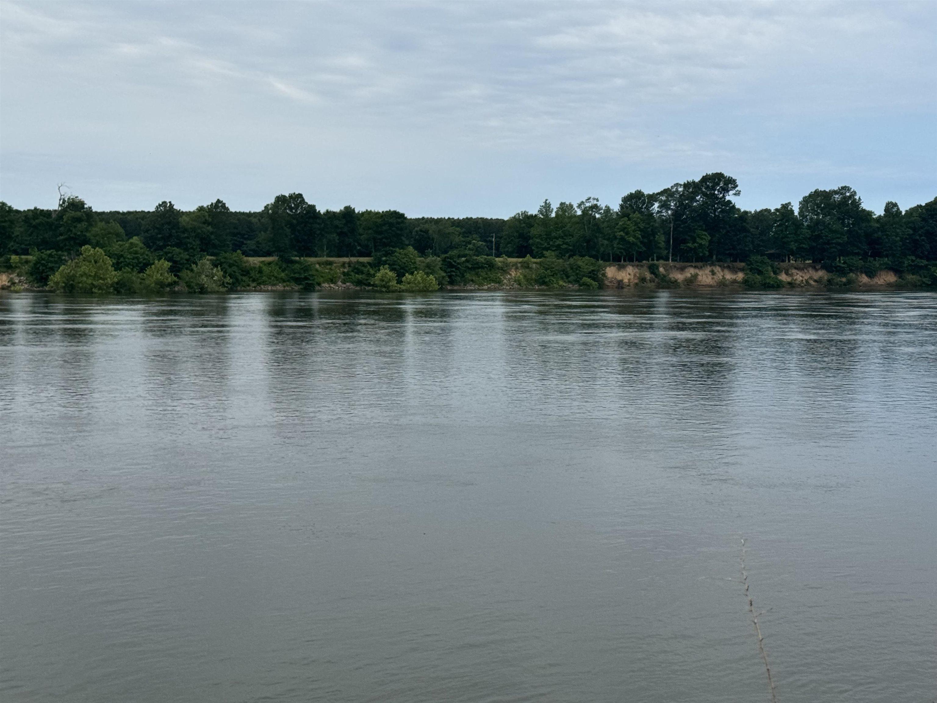 Image 2: Water view with a heavily wooded area