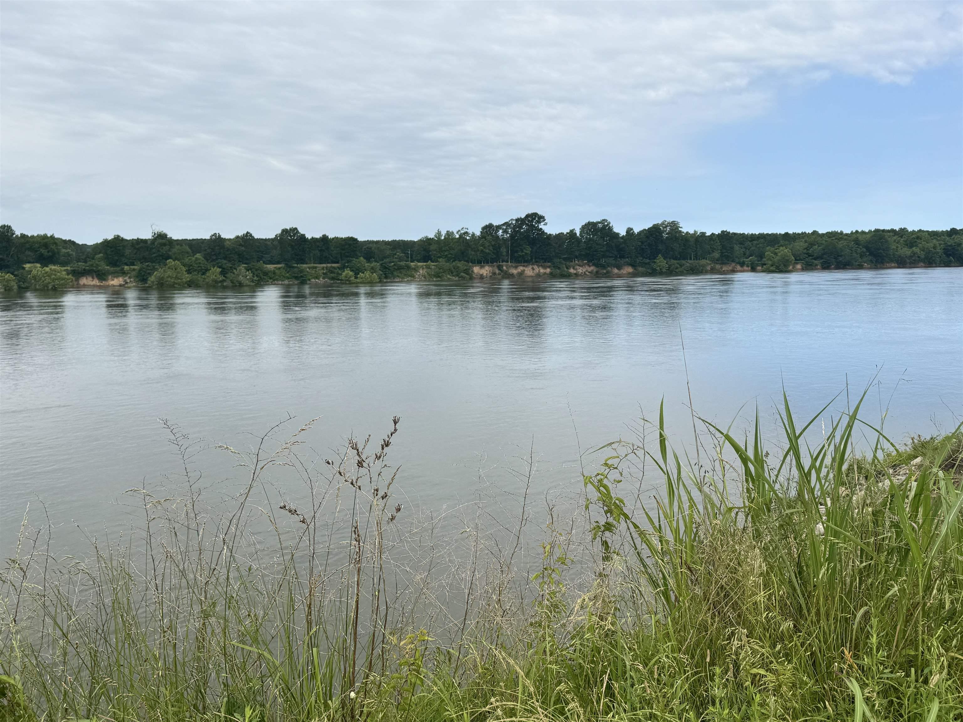 Image 3: Water view featuring a forest