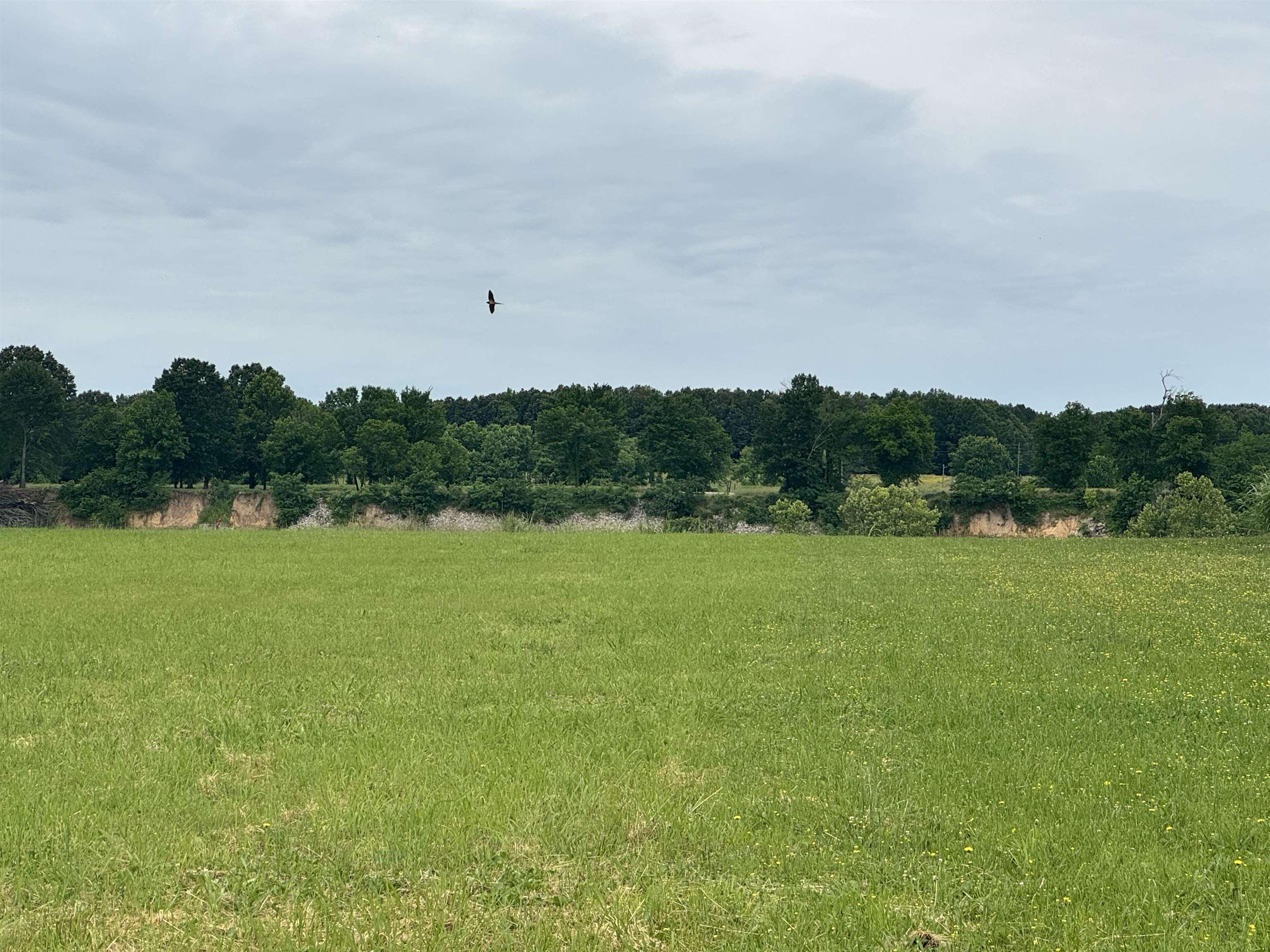 Image 4: View of nature featuring rural landscape