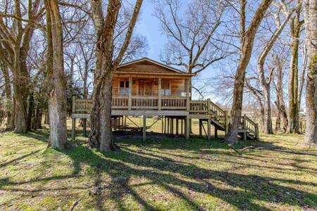 355 BELLIS RD