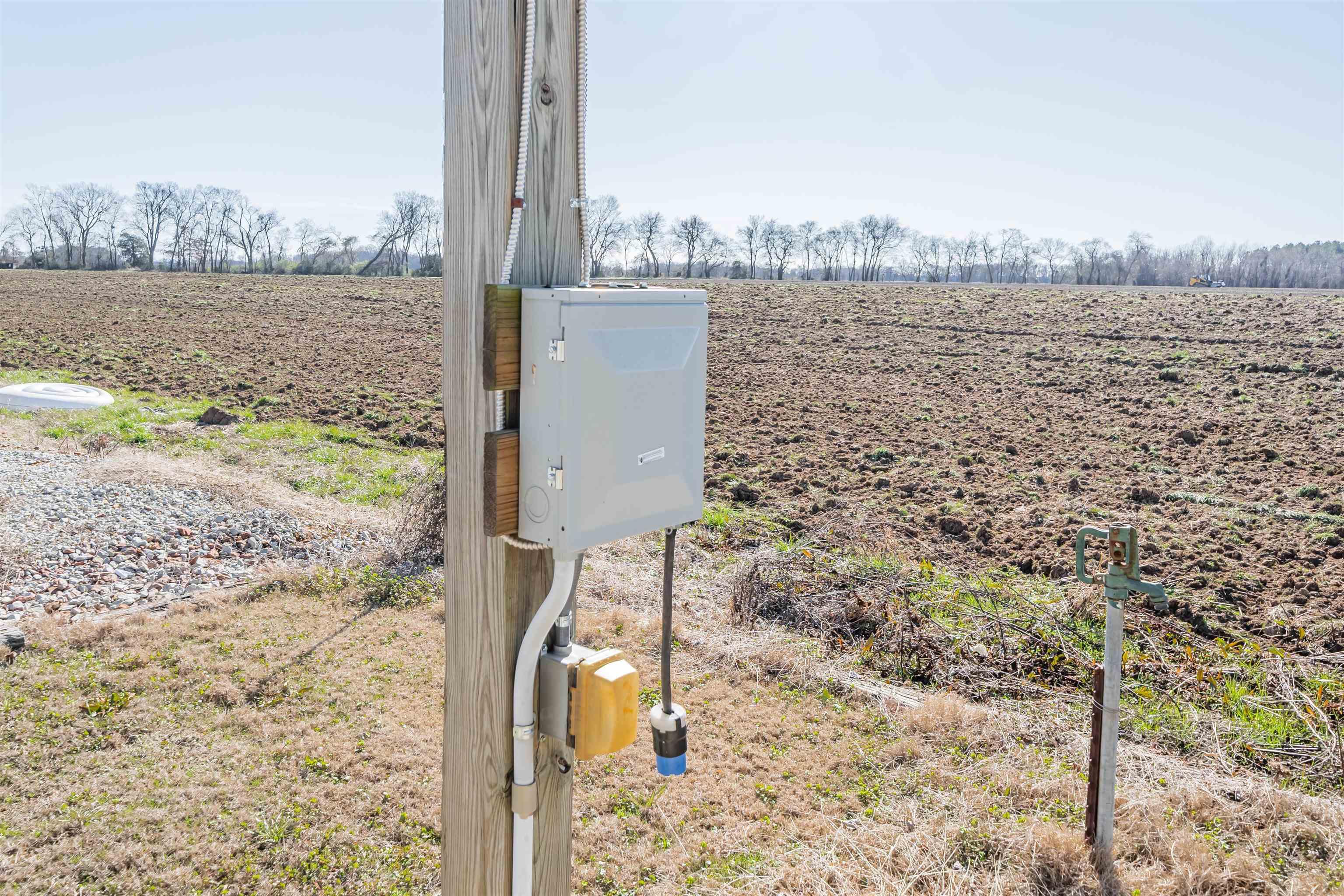 Image 4: Exterior view of large plots for crops