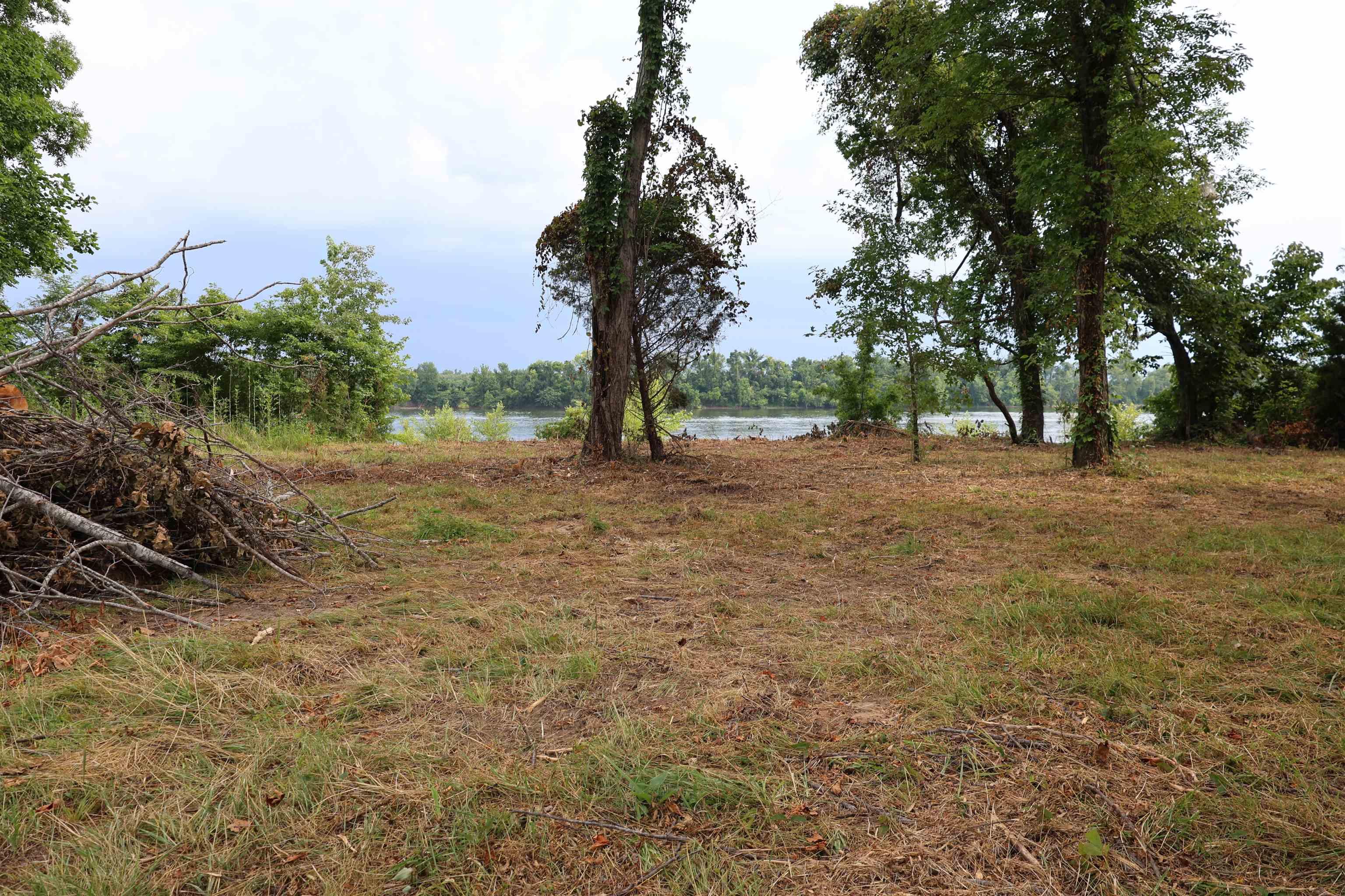Image 3: View of yard
