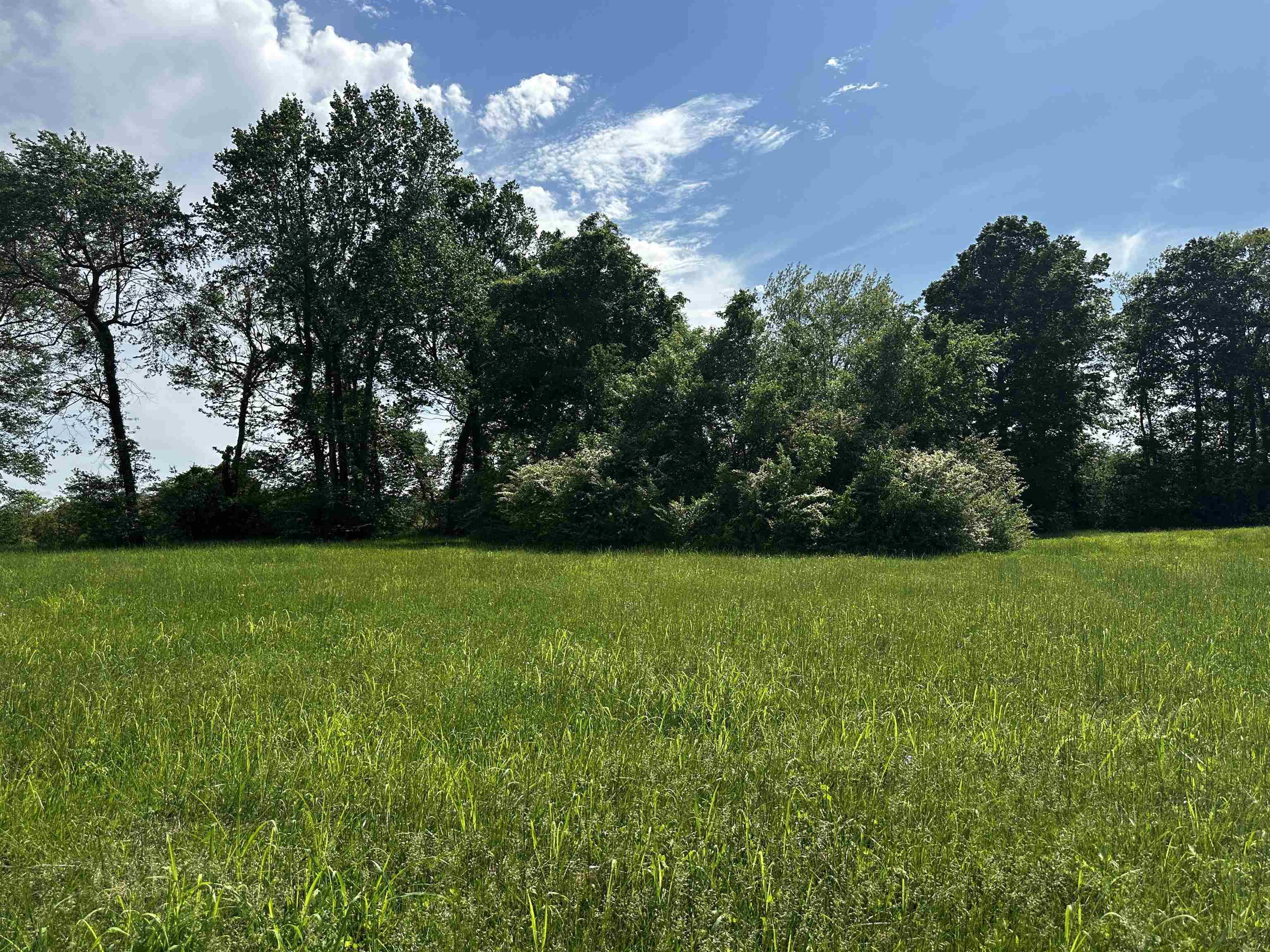 Image 4: View of landscape
