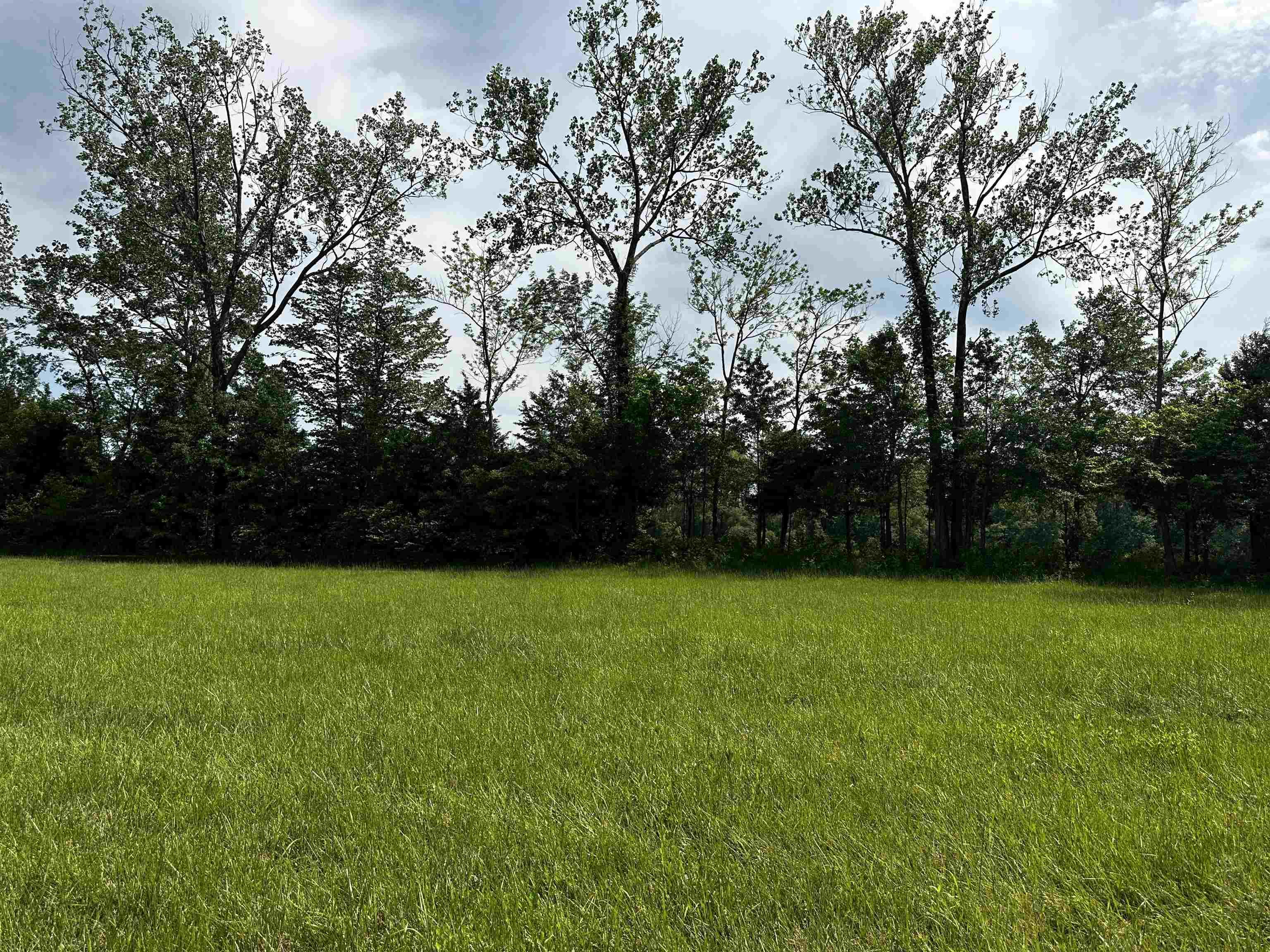 Image 2: View of yard