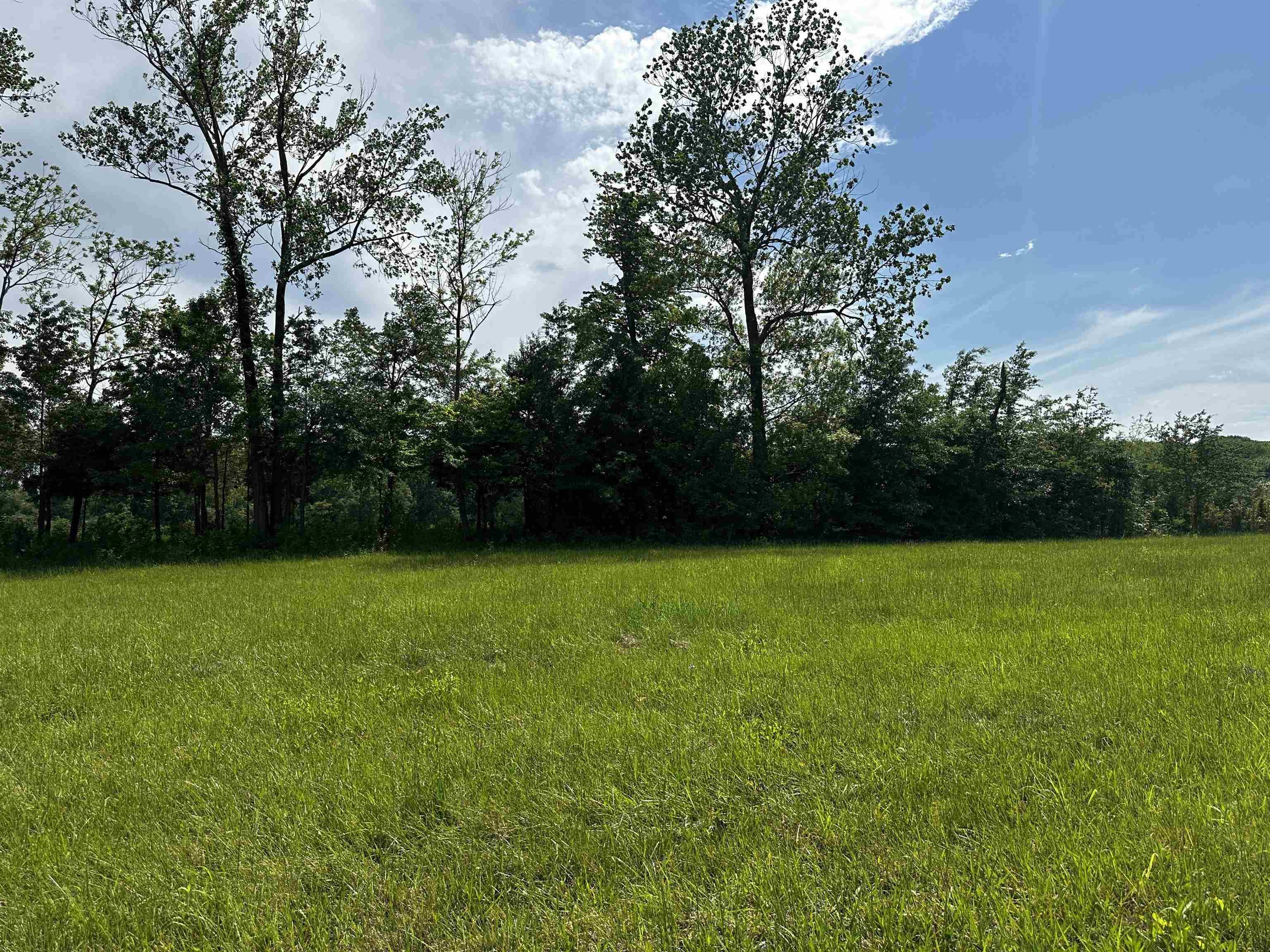 Image 3: View of yard