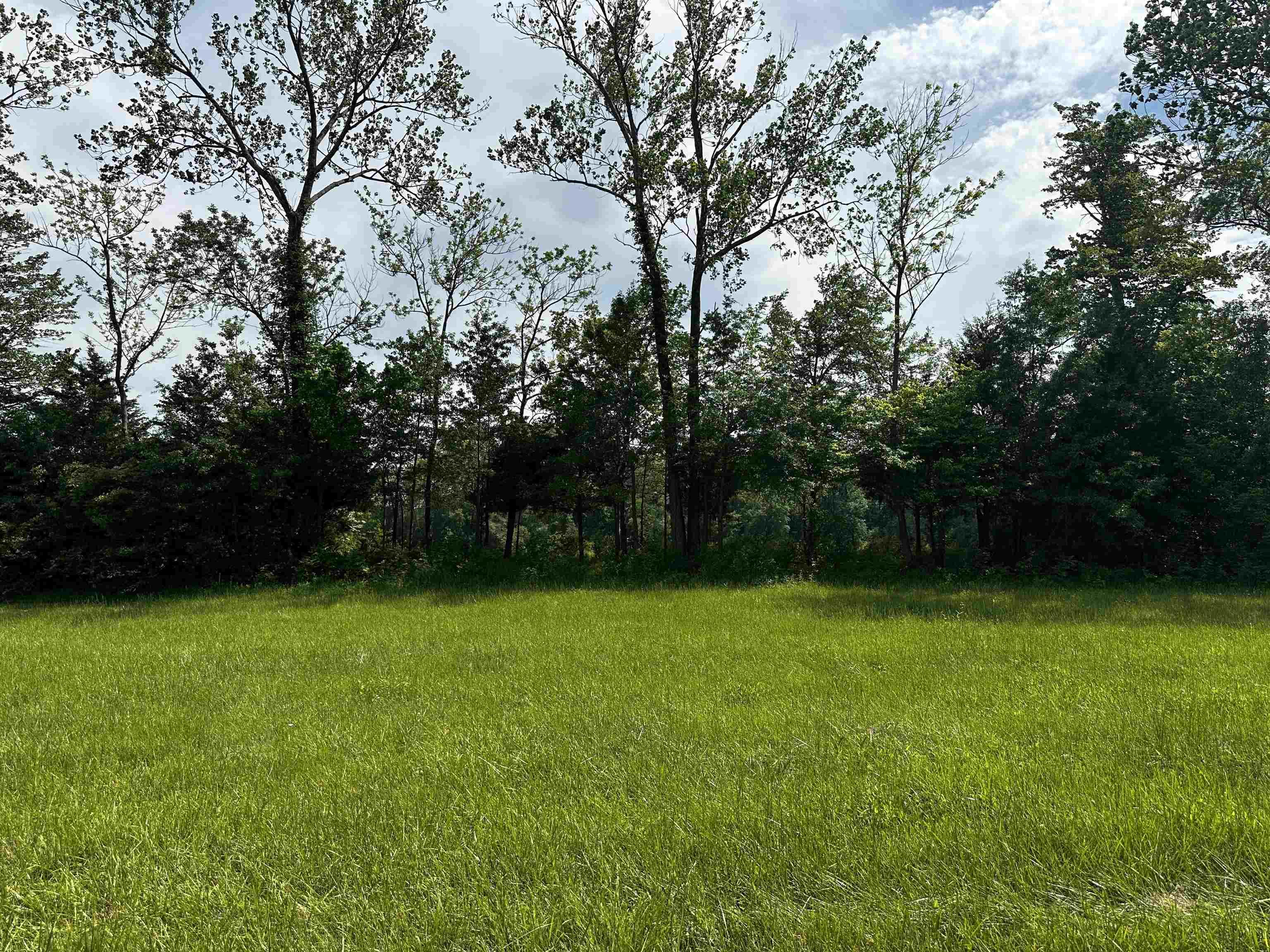 Image 4: View of yard