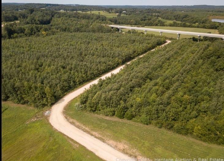 Image 4: Overview of rural landscape featuring a heavily wooded area