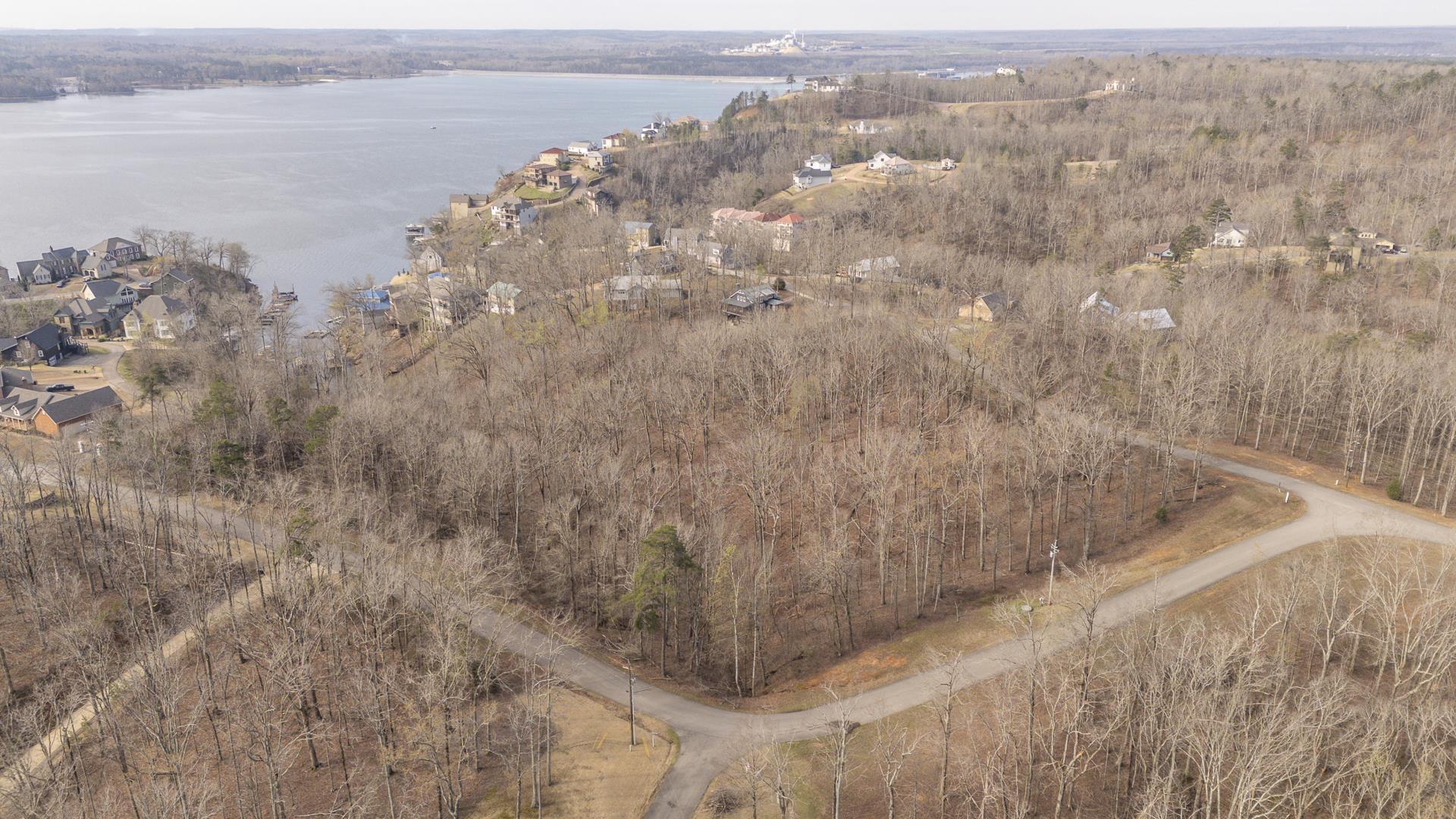 Image 3: Aerial view of a large body of water and a forest