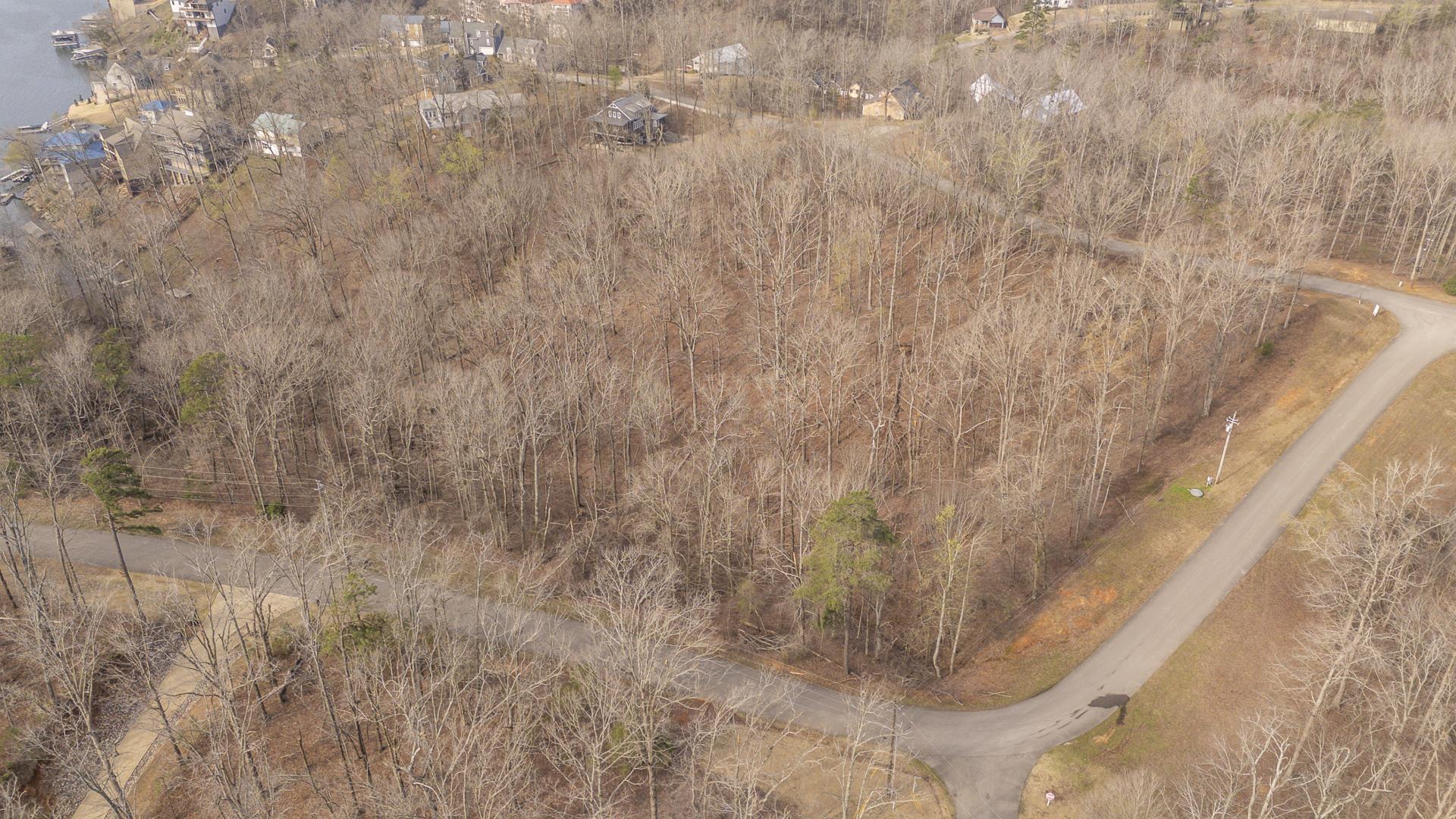 Image 4: Drone / aerial view
