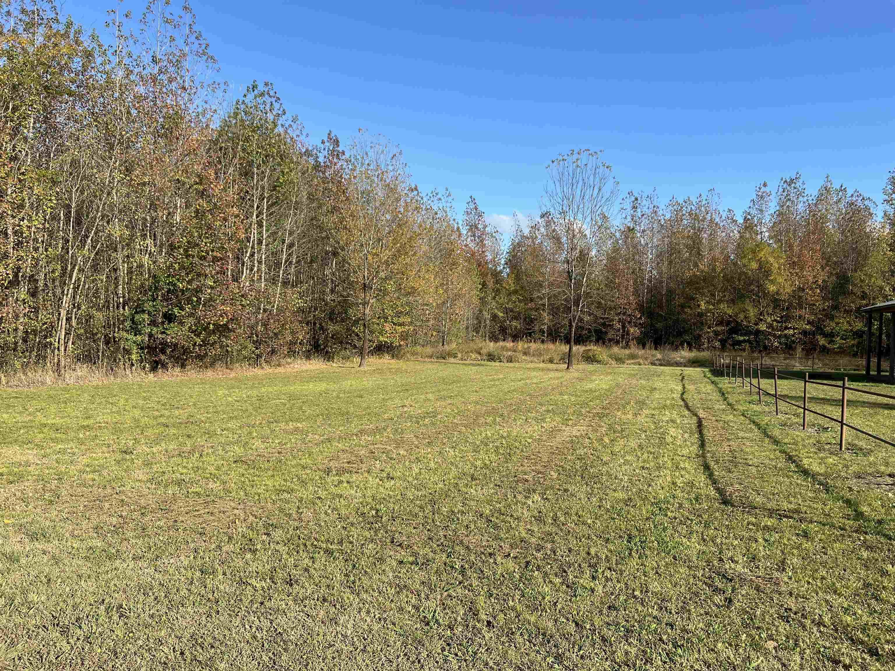 Image 2: View of yard