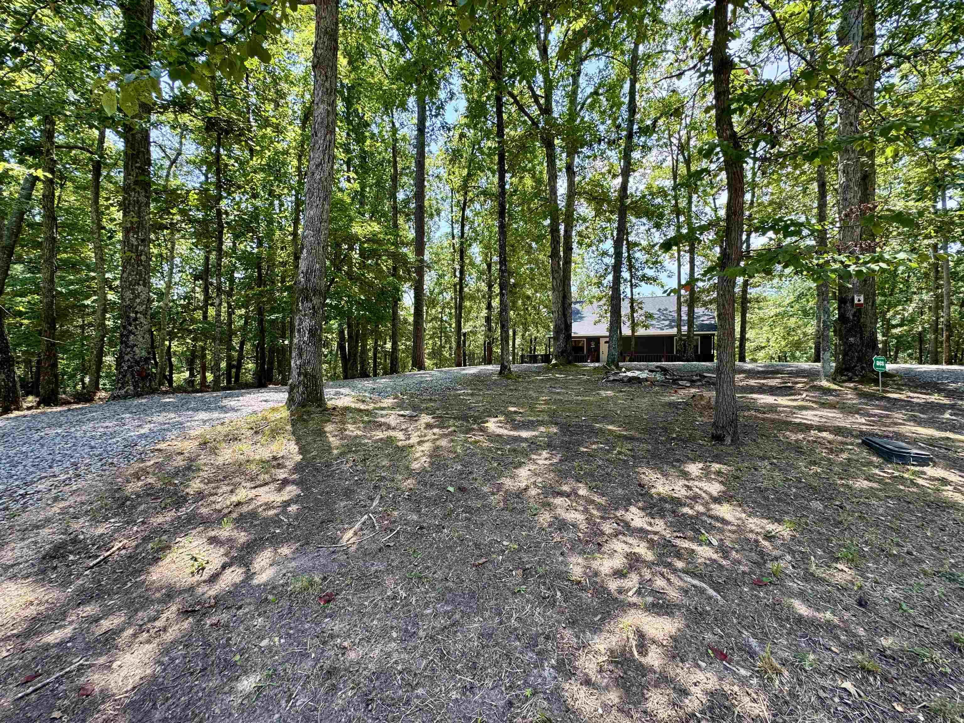 Image 5: Wooded grounds with a gravel driveway and a visible property structure