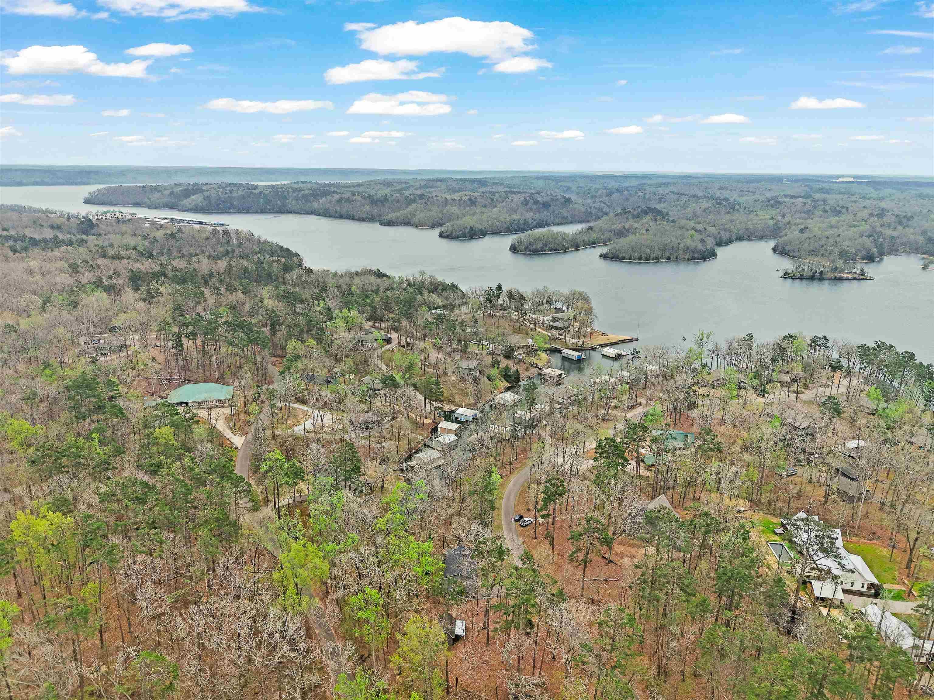 Image 3: Aerial view of a forest and a large body of water