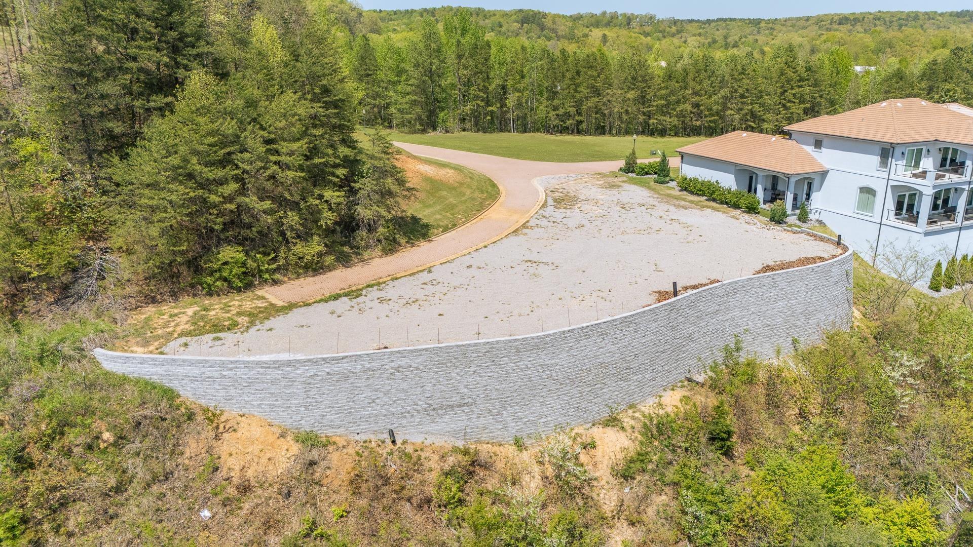 Image 1: Bird's eye view of a forest