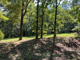 LOT 36 SANDBAR LN RD