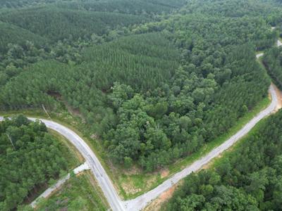 LOT 87 OLD HOHENWALD RD
