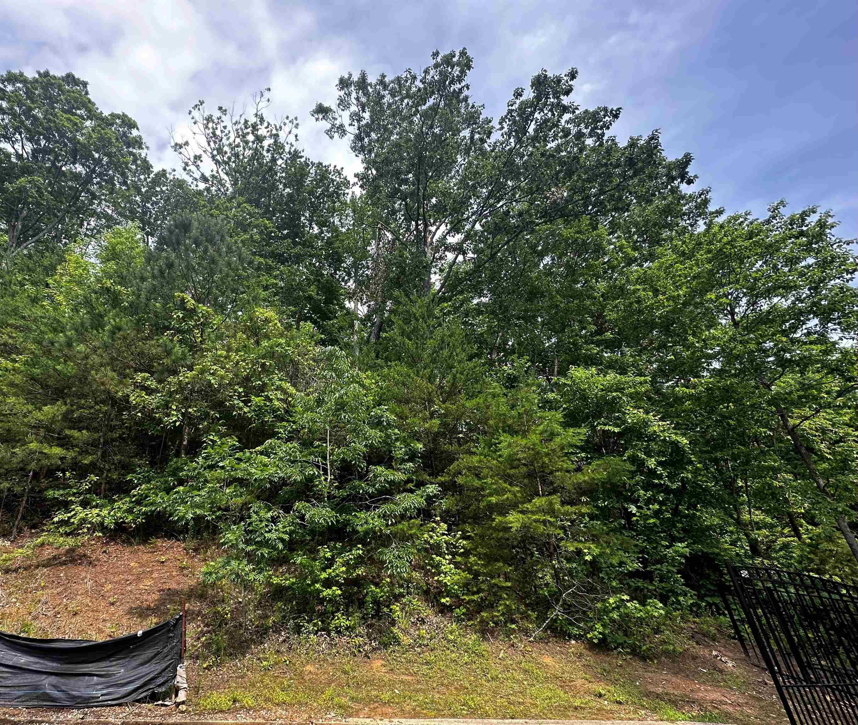 Image 2: Image 2