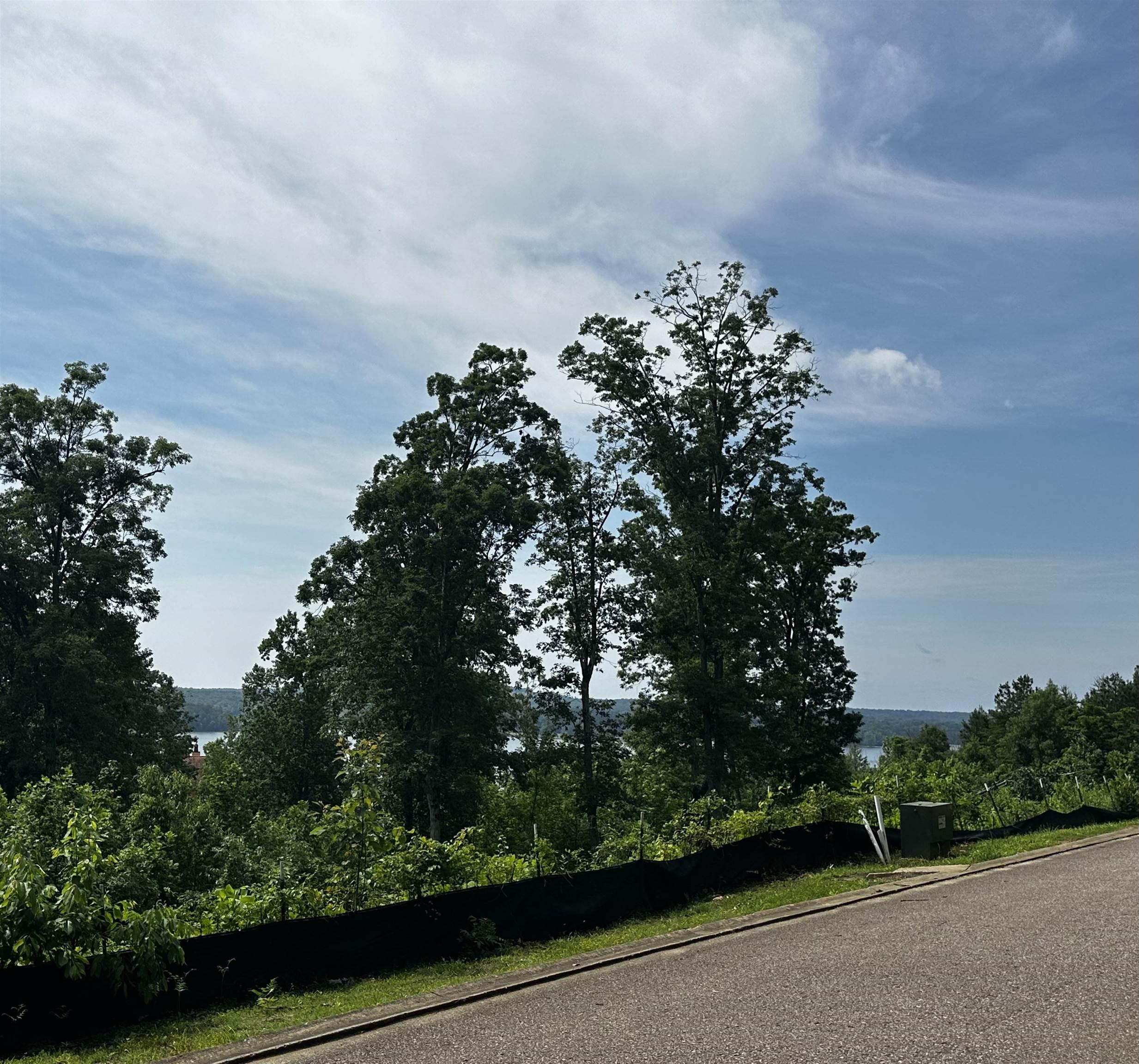Image 3: Image 3