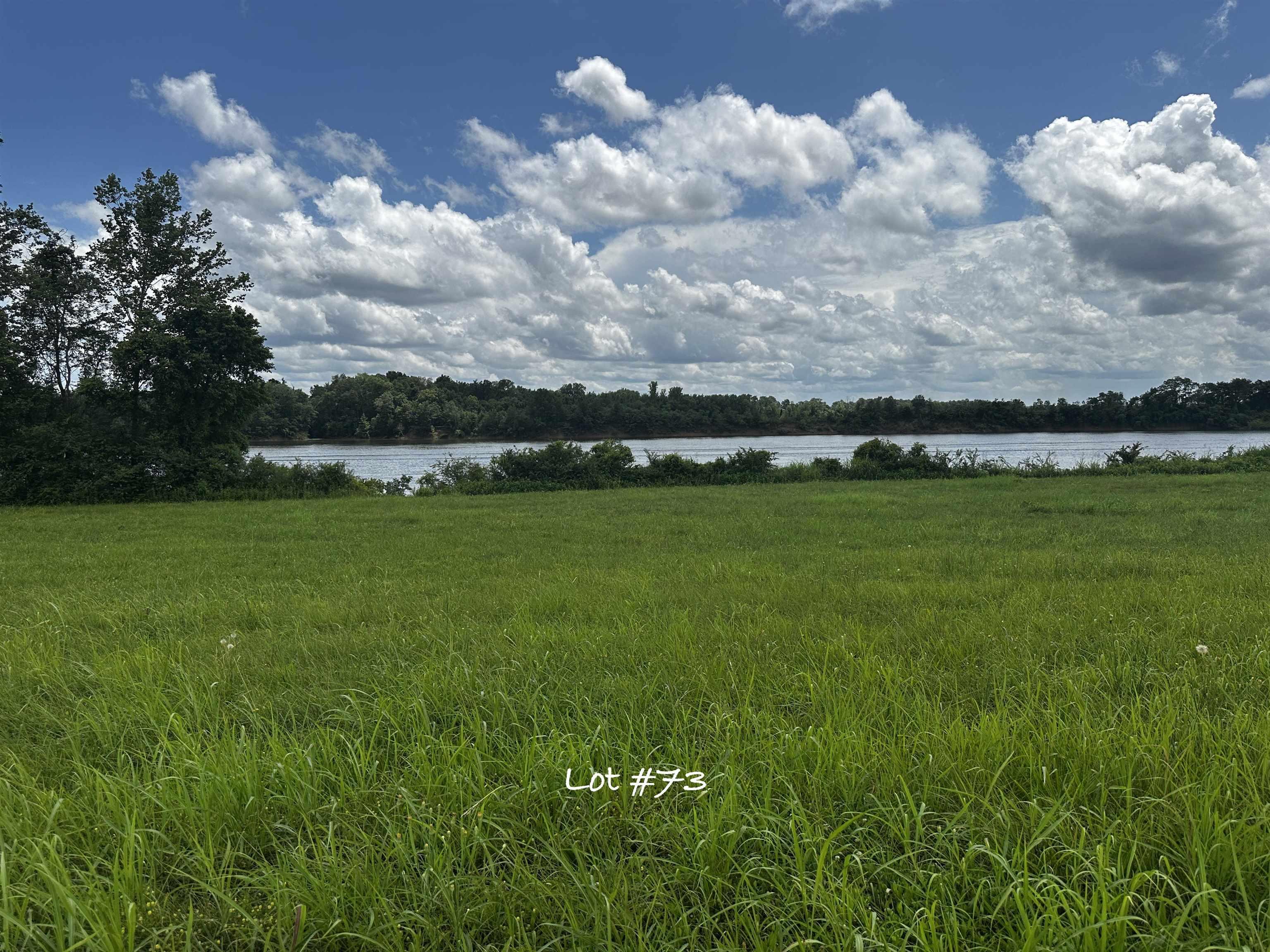 Image 1: Water view