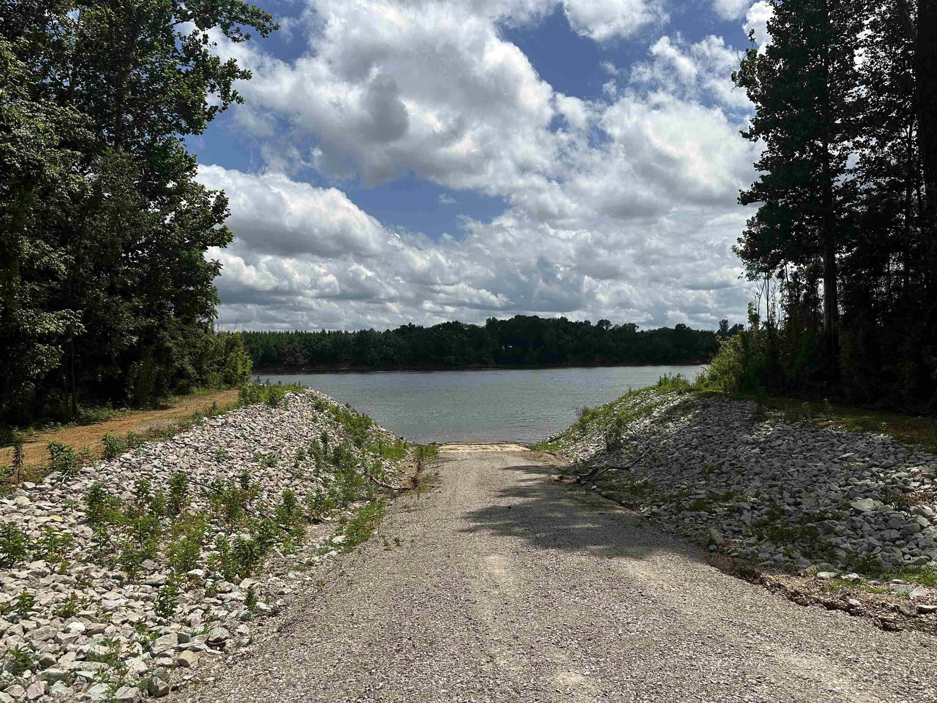 Image 4: Water view with a heavily wooded area