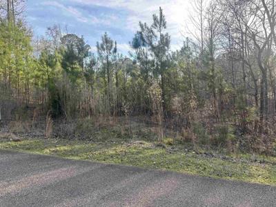 0 SHILOH FALLS COURT RD