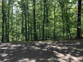 234 ANDERSON HOLLOW RD