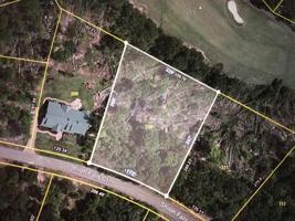 LOT 310 SHILOH FALLS CT