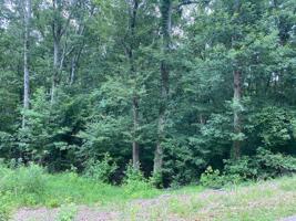 LOT 10-11 DRIFTWOOD RD