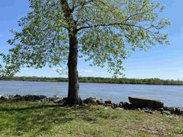 0 VISTA RIVER LN