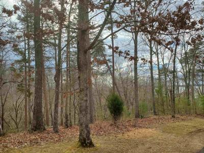 LOT 223 RIDGEVIEW CV