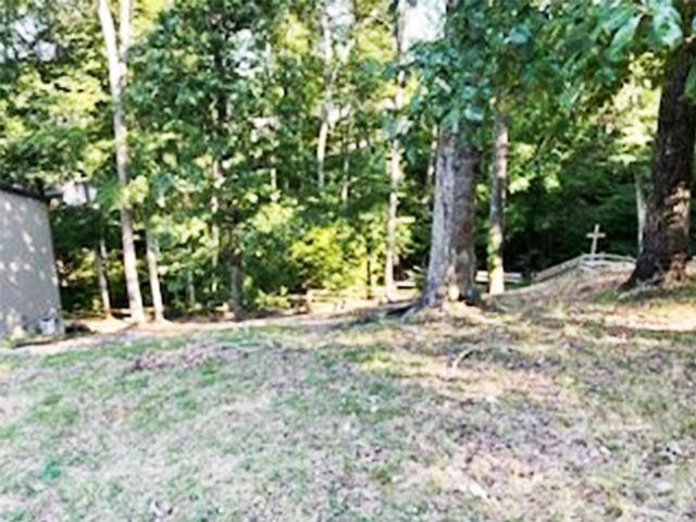 Image 1: Image 1