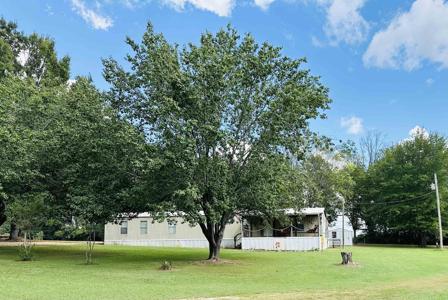 585 DOROTHY ANN LN