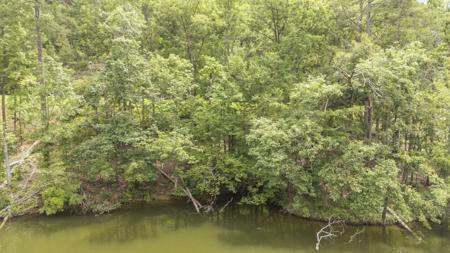 LOT 181 ARBORWOOD LN