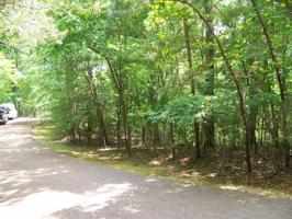 0 HOLLOW TREE RD
