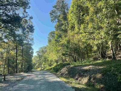 LOT 50 CROW LN