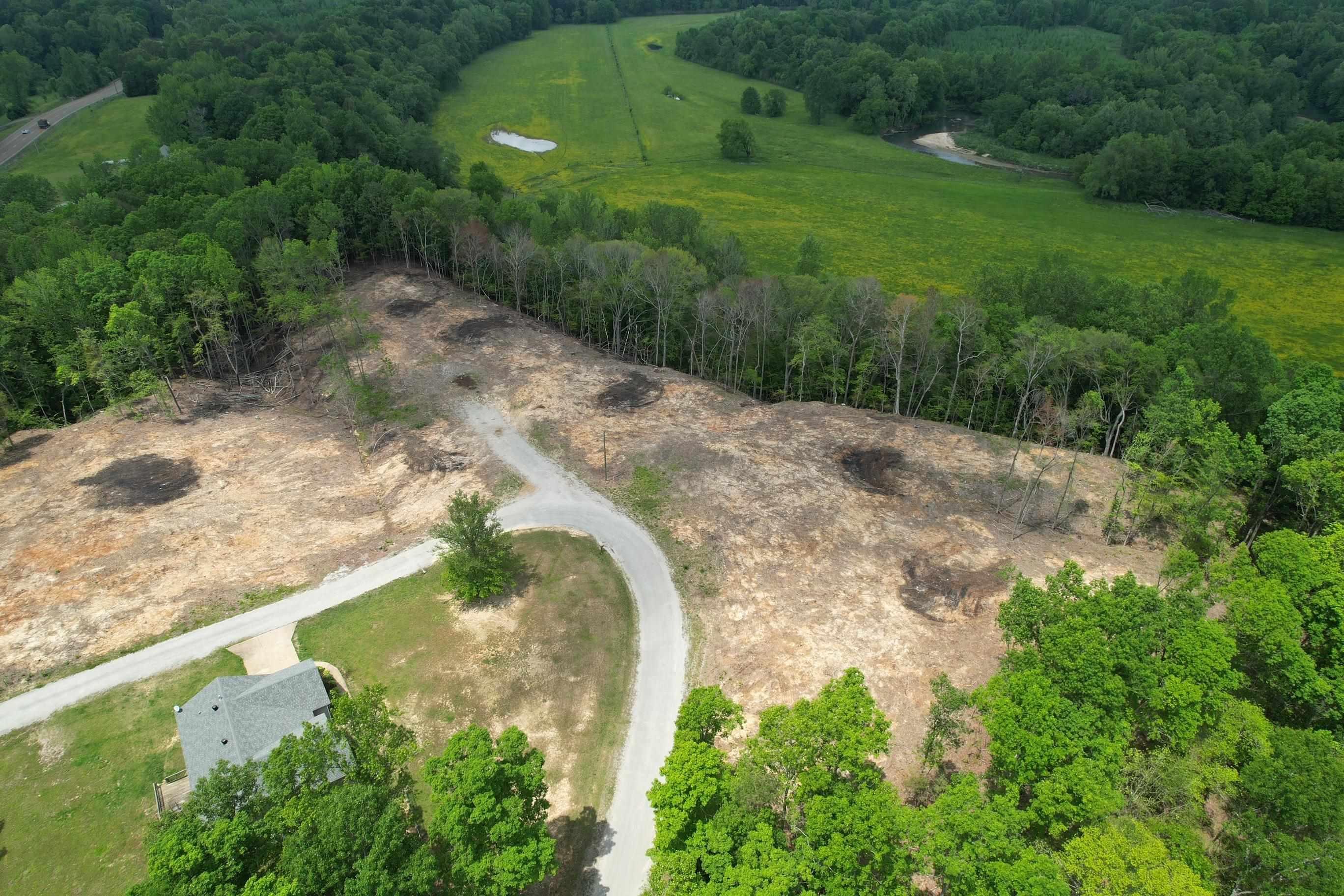 Image 1: Image 1