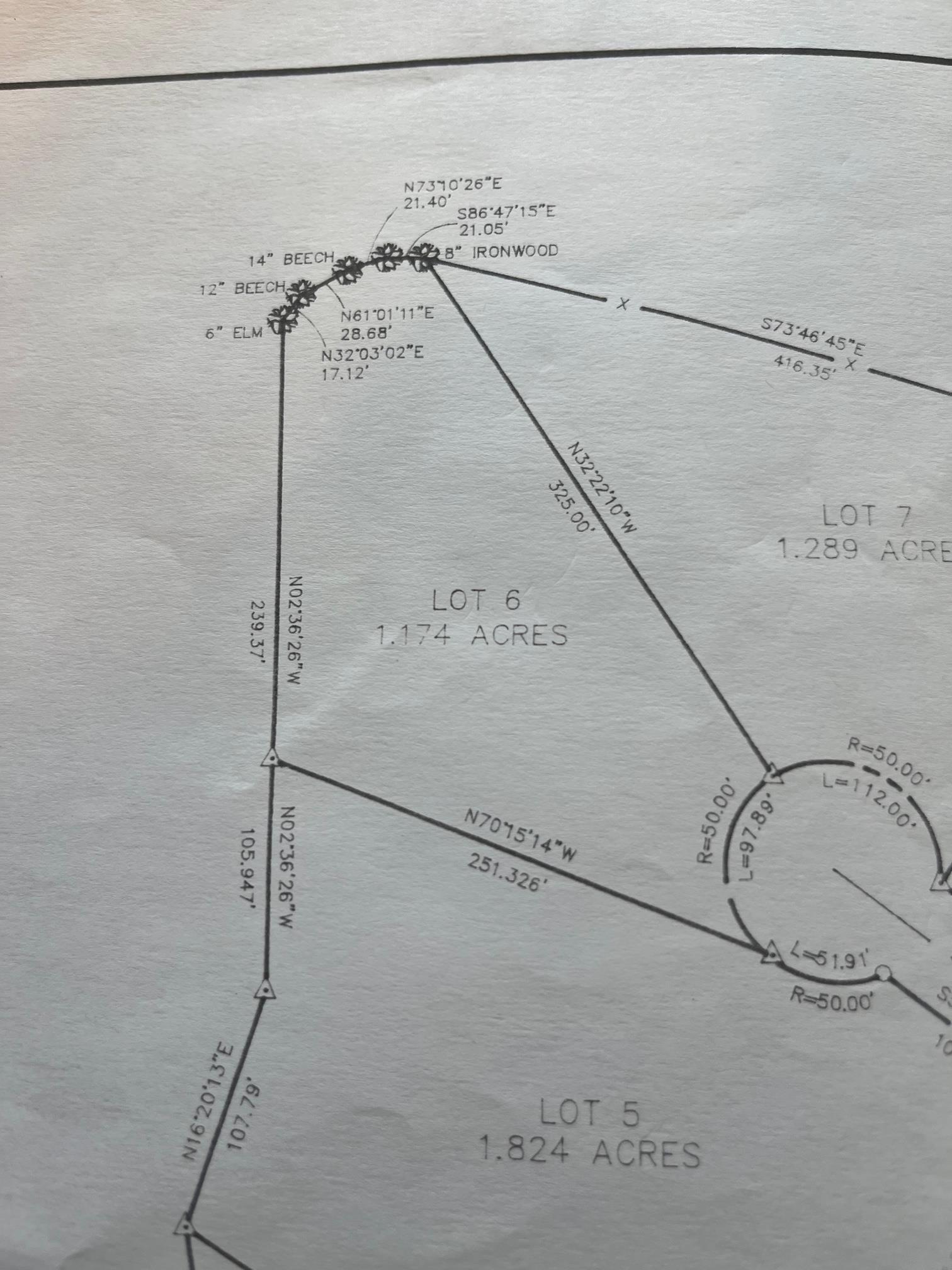 Image 4: Image 4