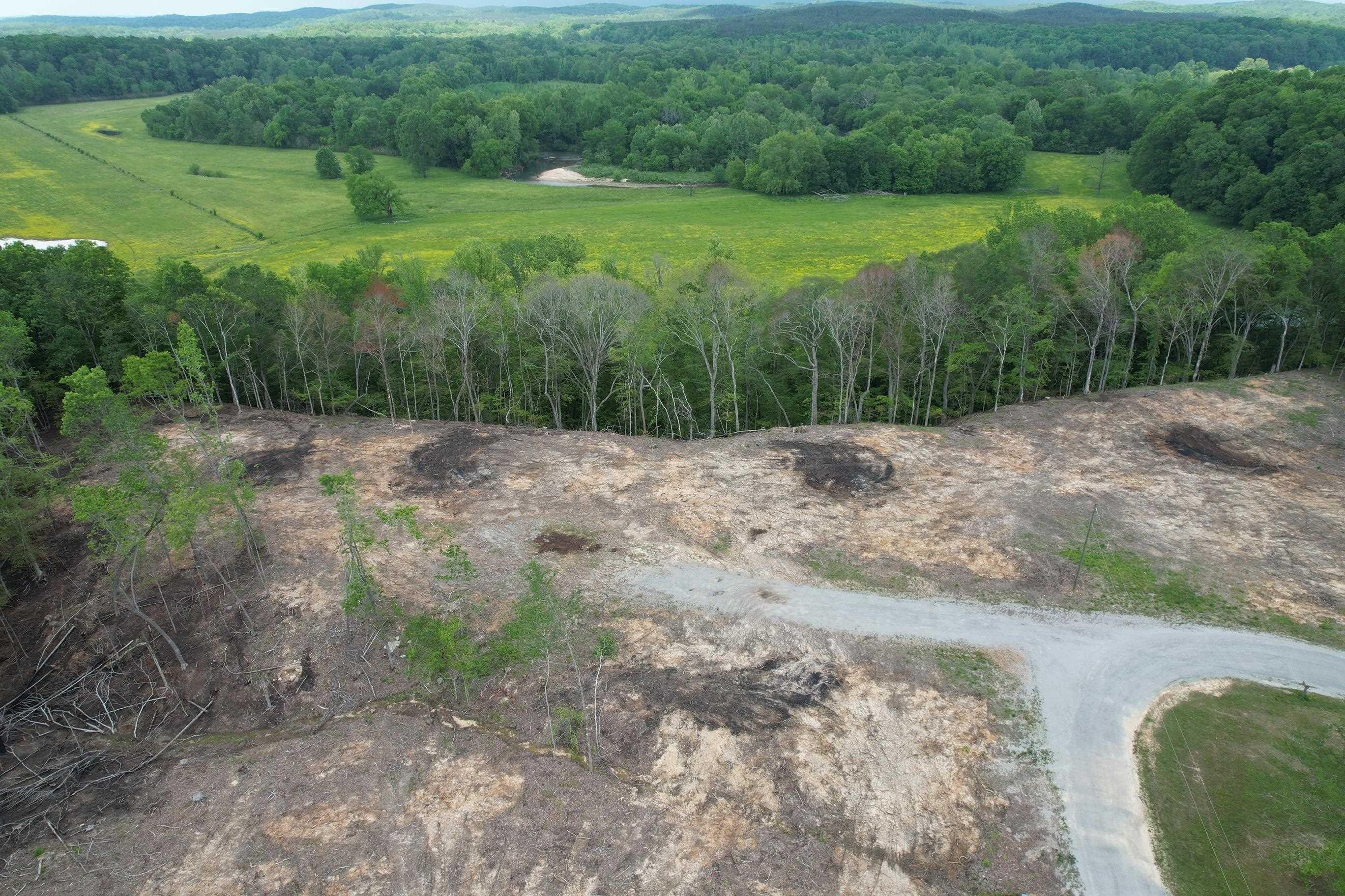Image 1: Image 1