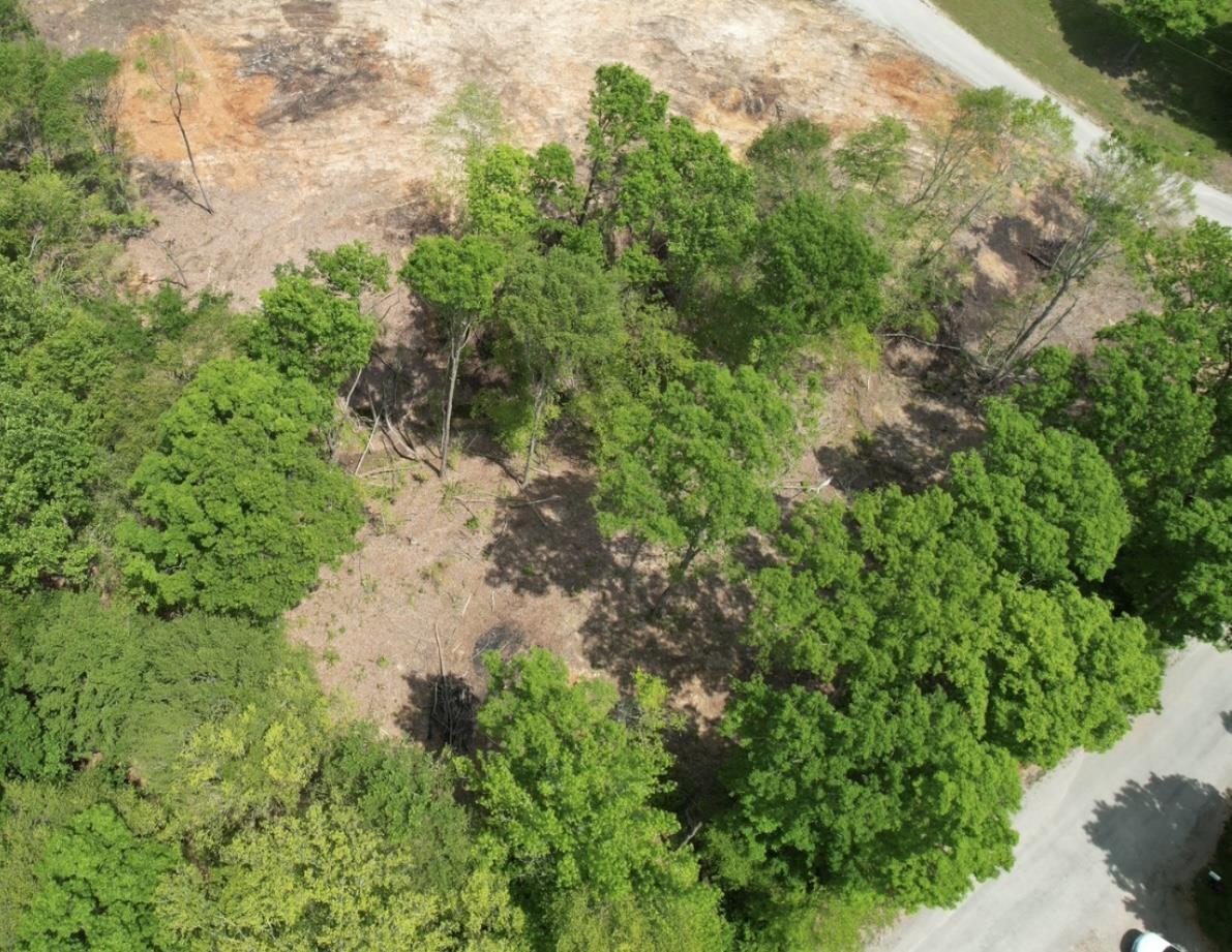Image 2: Image 2