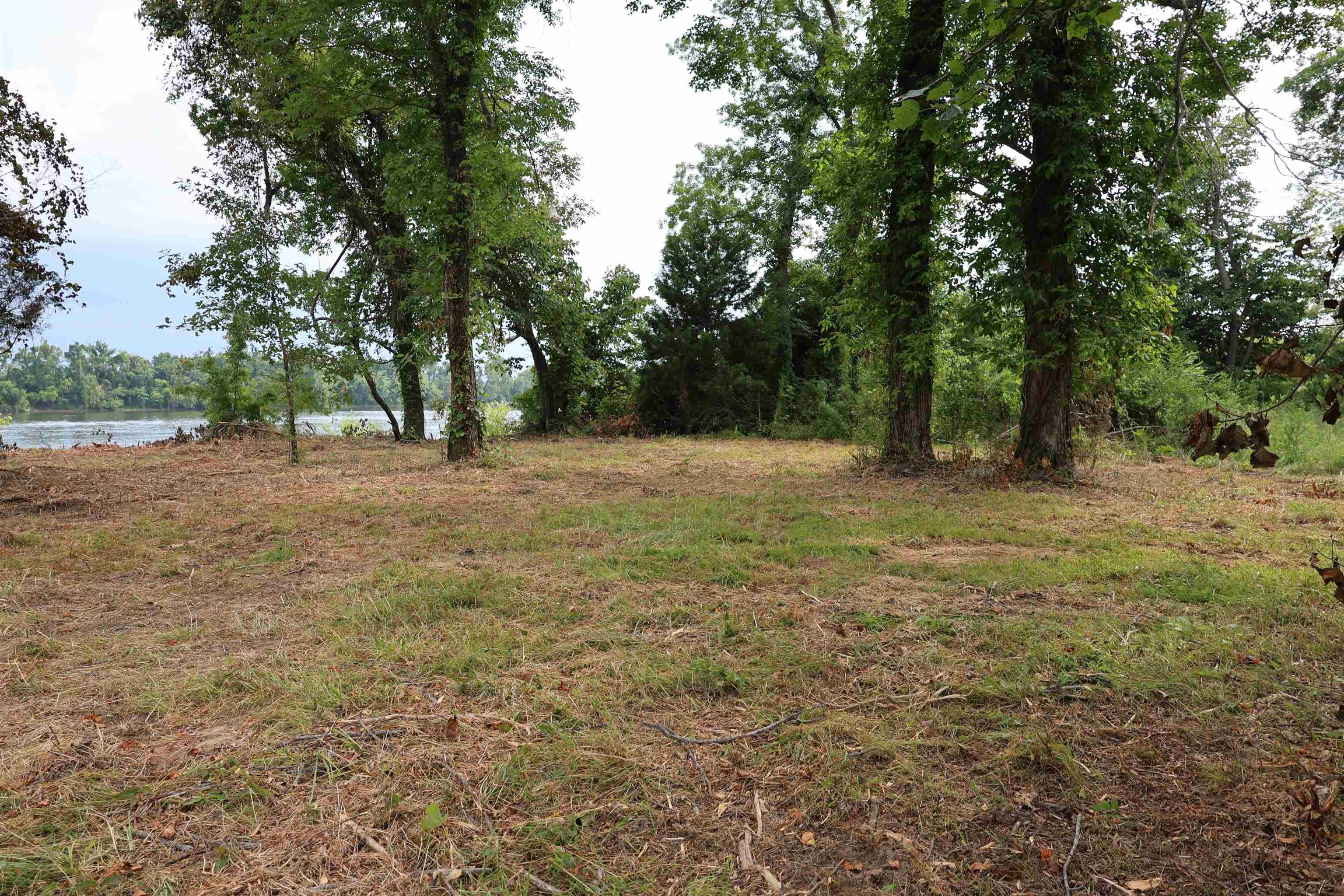 Image 1: View of nature