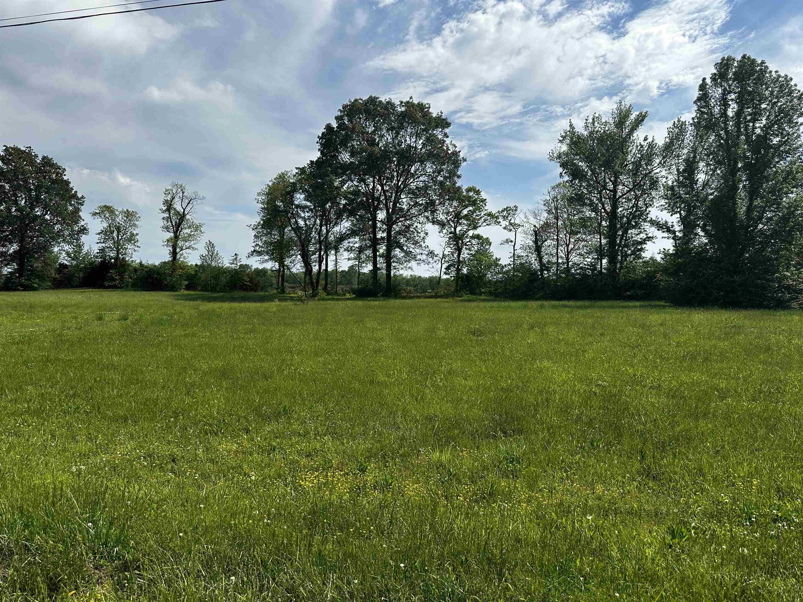 Image 2: View of landscape