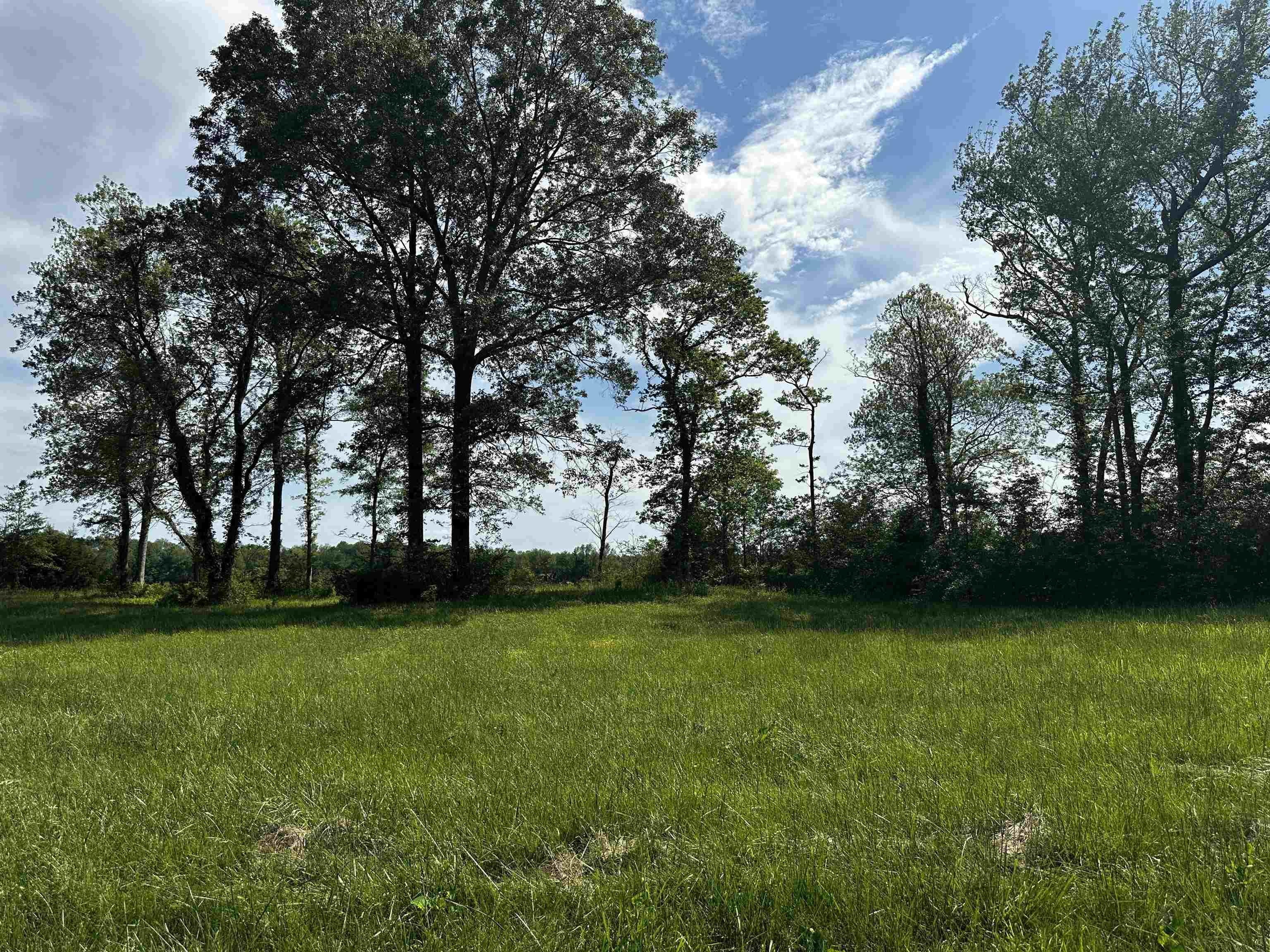 Image 3: View of nature