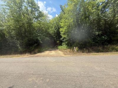 TRACT 4 COFFEE LANDING RD