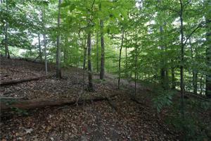 Lot 181 North Warwick Road