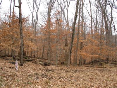 0 Glenwood East Drive